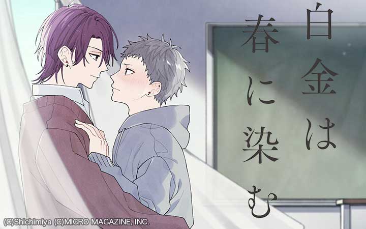 白金は春に染む【合冊版】